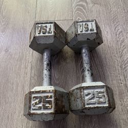 25 Lbs Dumbbells Set