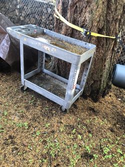 Rubber maid car (15)