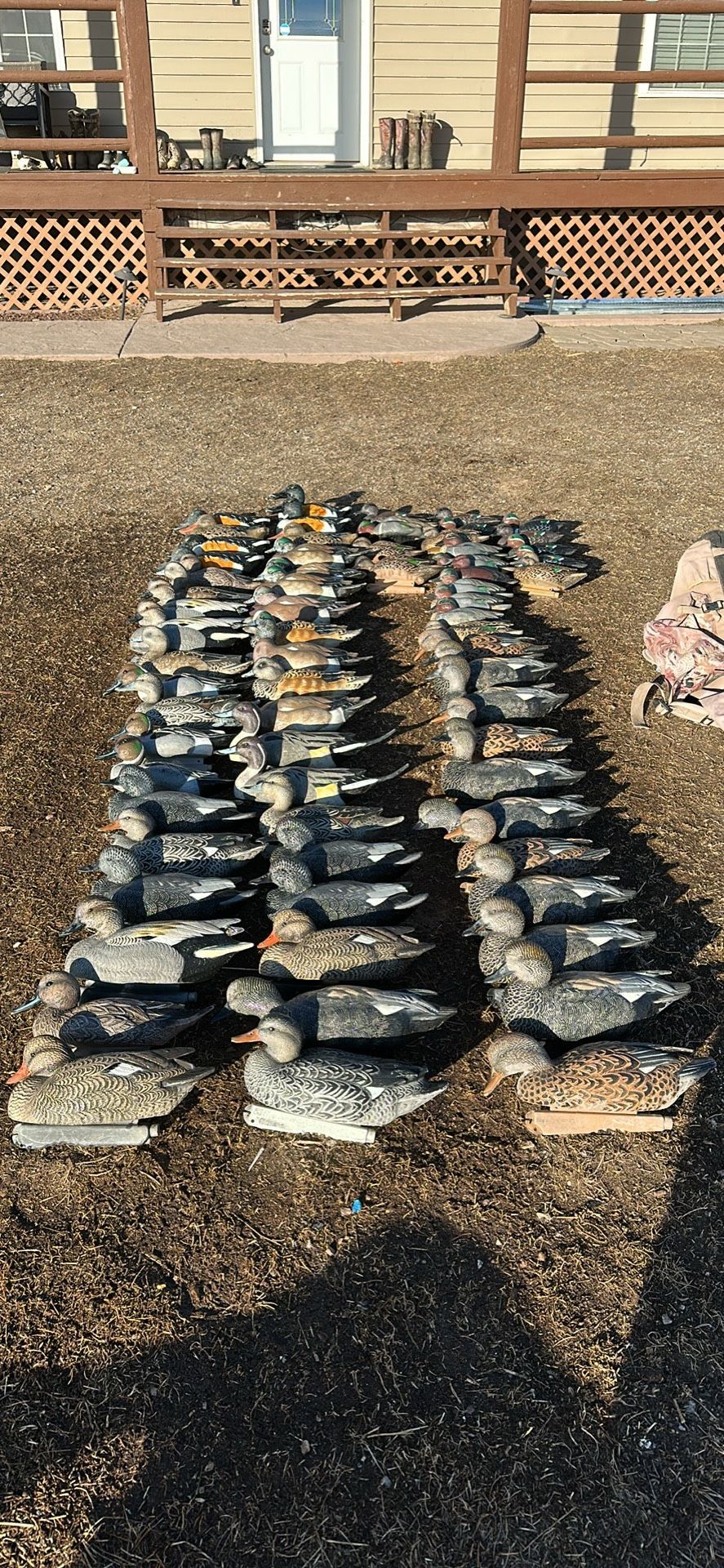 Duck Decoys
