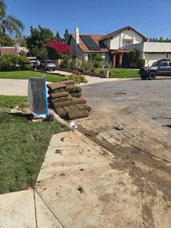 Free grass
