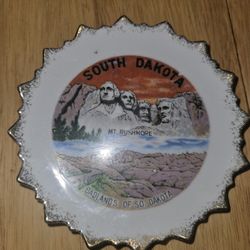 South dakota vintage plate 