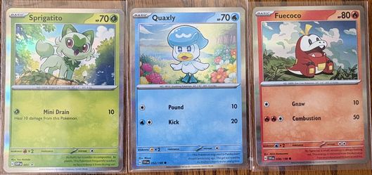 Paldea Starters Pokemon Cards (holo)