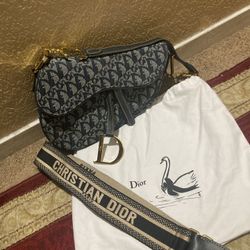 Brand New Bag With Dust Bag
