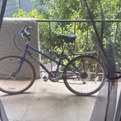 Basic Bike 