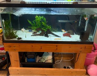 75-gallon tank with stand