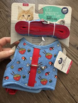 Kitten Harness 🐈⬛