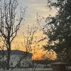 Aziza Lutfi