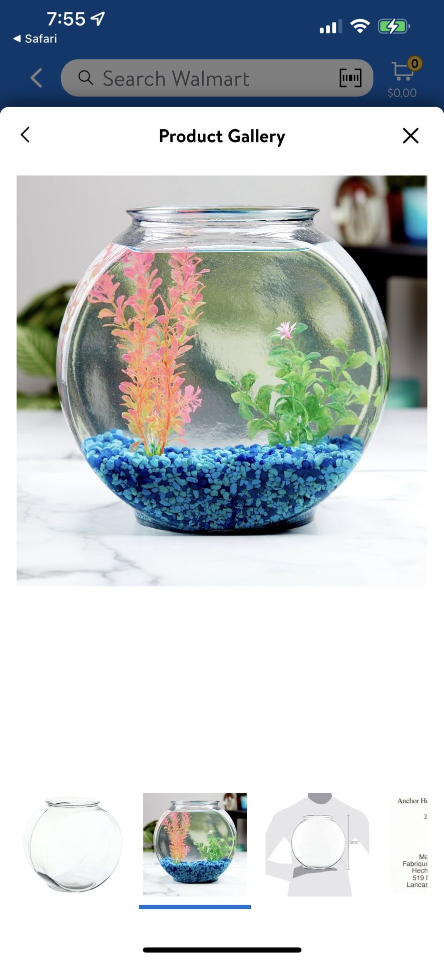 Fish Bowl with Colorful Rocks And Skimmer