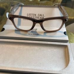 Ray-Ban Meta Wayfarer 