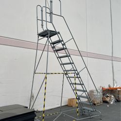 12 Step Ladder 