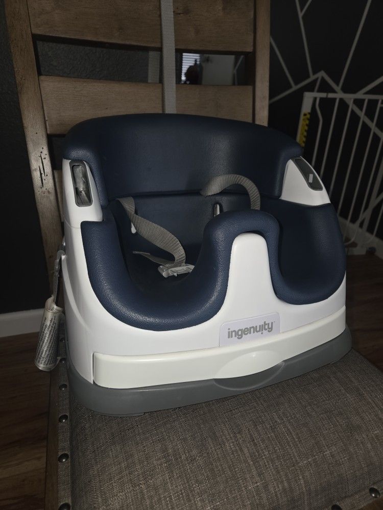 Ingenuity Booster Seat