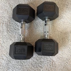 HOLD: 25lb Dumbbells 