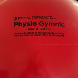 Physio Gymnic Ball Max 120 Cm