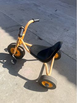 Lakeshore Tricycle