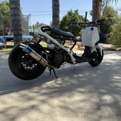 Honda Ruckus 