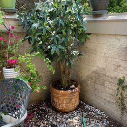 Artificial Tree Decoration Care Free