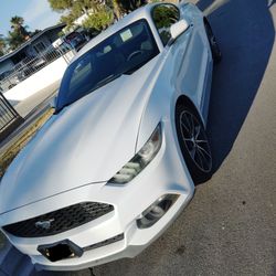 2016 Ford mustang