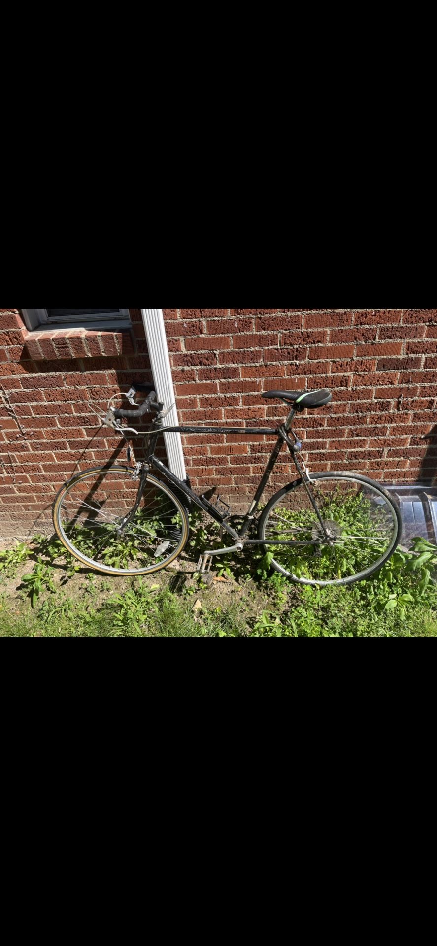 Mens Racing Bike