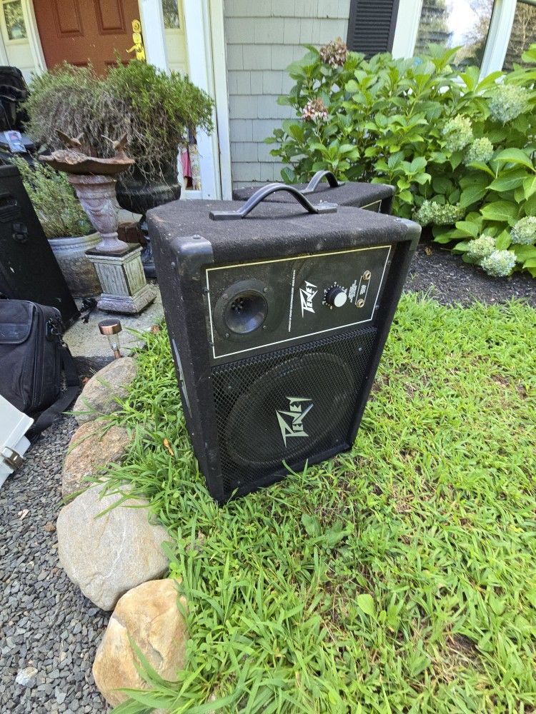 Peavey Guitar With 2 Speakers
