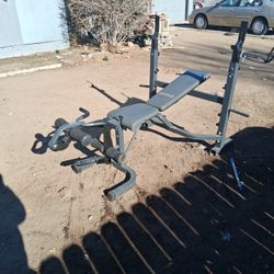  Body Champ Weight Bench Curling And Leag Lift