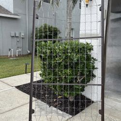 Metal Trundle - Bed on wheels