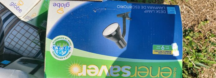 Mini Desk Table Lamp