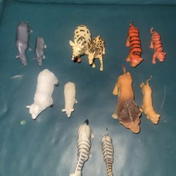 Animals Toy