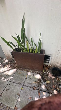 FREE! 3 Tall metal vase - without plant