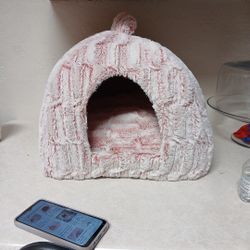 Cat House 