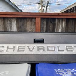 1990 chevy Obs  Tail Gate