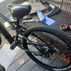 PASELEC G-9 electric bicycle