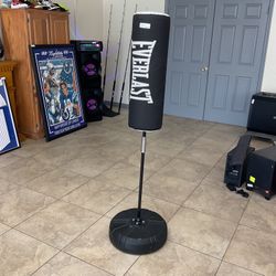 EVERLAST Punching Bag