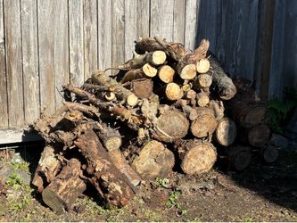 Free Fire Wood