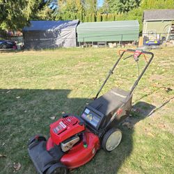 Self Lawnmower Mower 