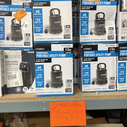 Submersible portable utility pump