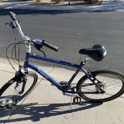 Men’s Large Comfort Bike
