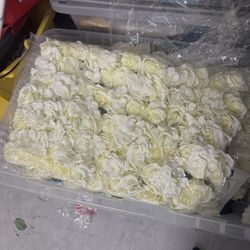 White Floral Mat For The Wall