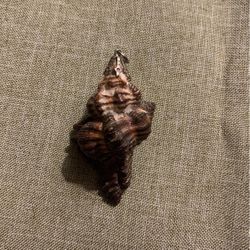 Shell Pendant 