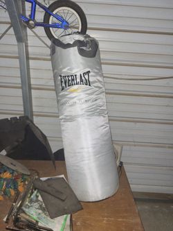 Punching bag and gloves set$100