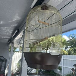 New bird cage
