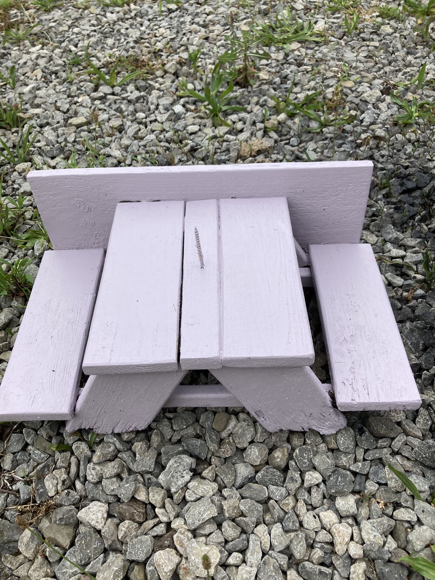Squirrel Picnic Table/holds Corn 