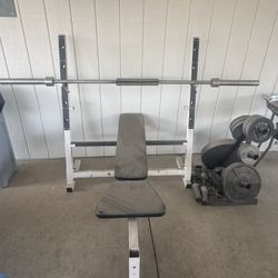 Weight Bench 