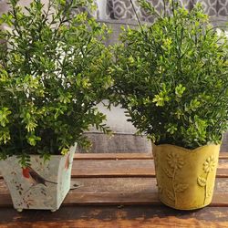 Faux Decorative Tabletop Plants- Set Of 2