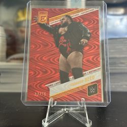 WWE Don Russ Elite Aspirations Swirl Bronson Reed and Alba Fyre