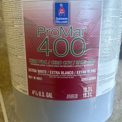 Promar400 Extra White Paint