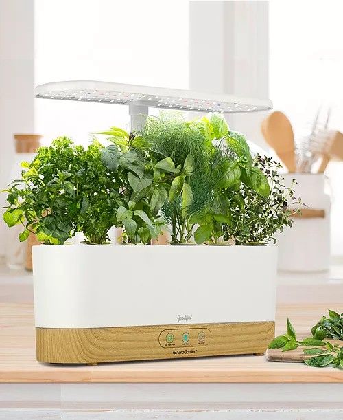 AEROGARDEN
Goodful™ by Harvest Slim White with Wood Base and Gourmet Herbs Seed Pod Kit, Created for Macy's