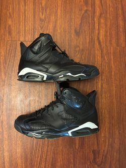Air Jordan black cat 6’s