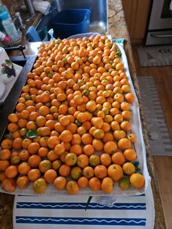 Organic calamansi washed thoroughly and good only through August 20 $2 per pack, $1 small pack