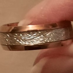 Tungsten Ring With Meteorite Inlay 