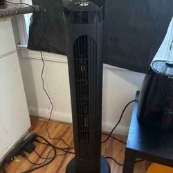 Stand Up Fan